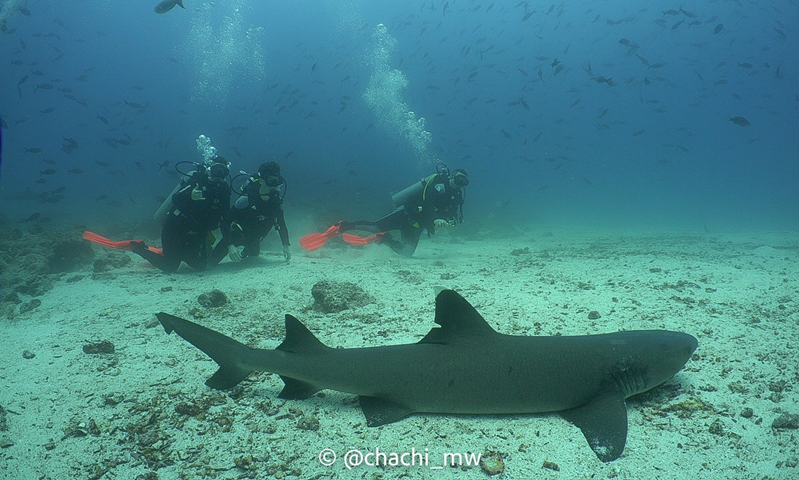 Seymour Channel and Mosquera South dive site in the Galapagos