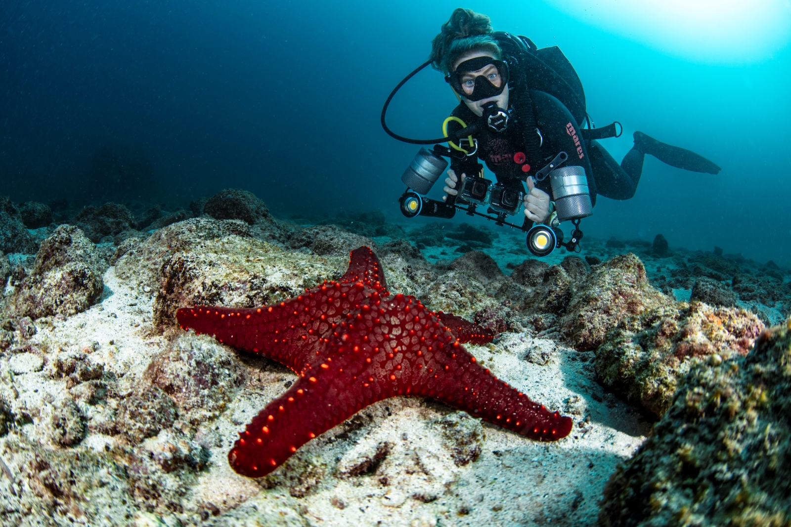 Galapagos diving photo