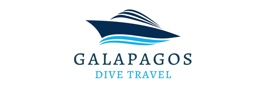 Galapagos Dive Travel